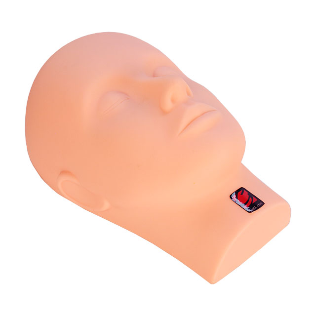 Facial Massage and Makeup Training Mannequin Head by Giell