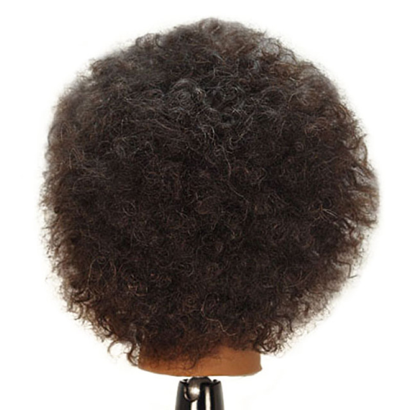 Naomi Afro Style 100% Human Hair Cosmetology Mannequin Head by Celebrity at