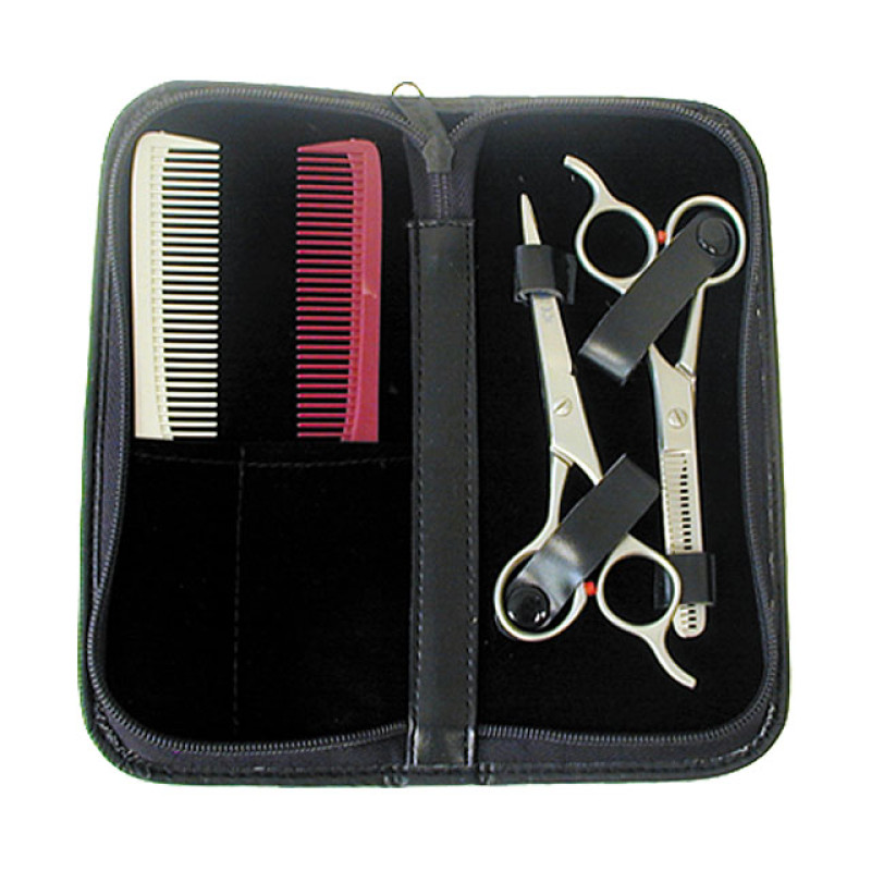 Image 1 - 4 pcs Hair Shears and Thinner Set with Combs by Gold Magic at Giell.com