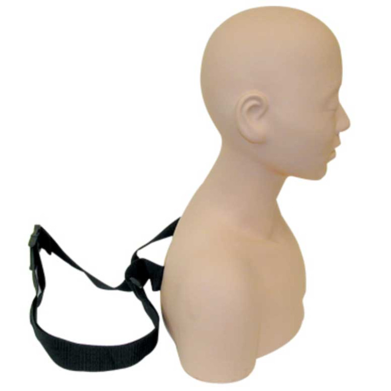 Image 2 - Esthetics & Massage Training Head with Shoulders and Chair Straps