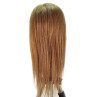 Image 3 - Chantal 21" Virgin 100% Human Hair Light Brown Cosmetology Mannequin Head by HairArt at Giell.com