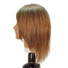 Image 2 - Emily 12" Virgin Remy 100% Human Hair Light Brown Cosmetology Mannequin Head by HairArt at Giell.com