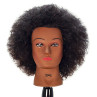 Image 1 - Naomi Afro Style 100% Human Hair Cosmetology Mannequin Head by Celebrity at Giell.com