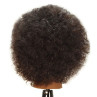 Image 3 - Naomi Afro Style 100% Human Hair Cosmetology Mannequin Head by Celebrity at Giell.com
