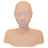 Image 1 - Esthetics & Massage Training Head with Shoulders and Chair Straps