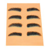 Image 1 - Eyebrow Tweezing and Shaping Training Palette by Celebrity at Giell.com